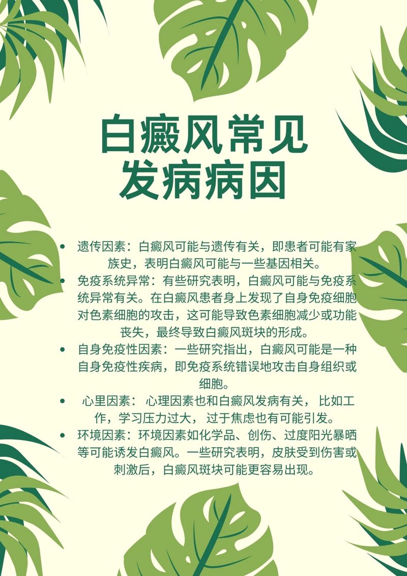 厦门出入境检验检疫局:保障城市安全,守护百姓幸福